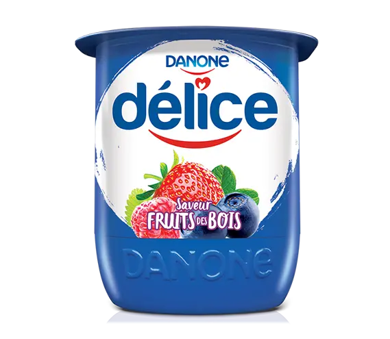 Yaourt Fruits des Bois Délice 110g