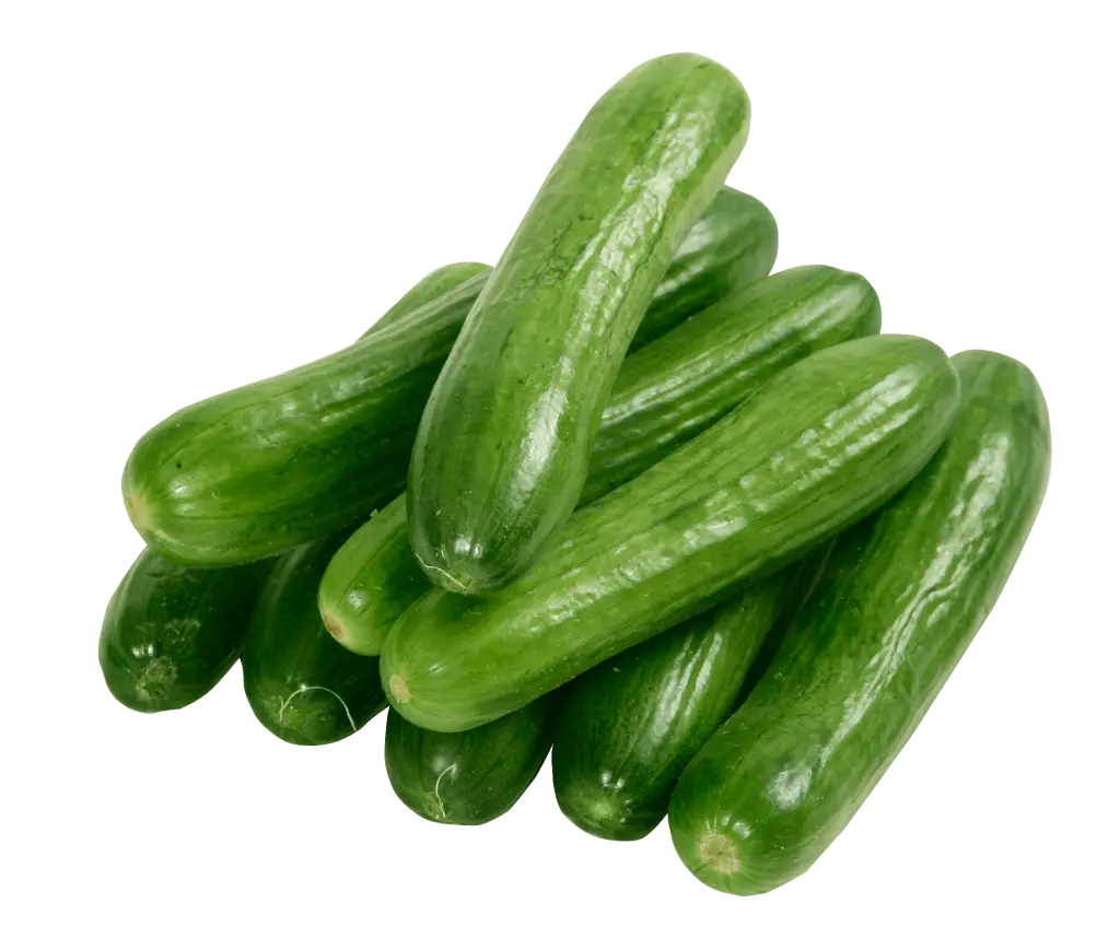 Concombre