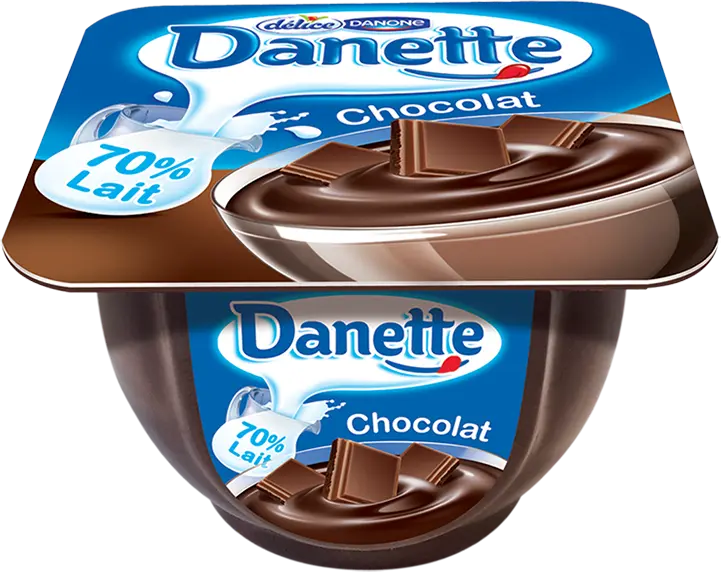 Danette Chocolat Délice 100g 
