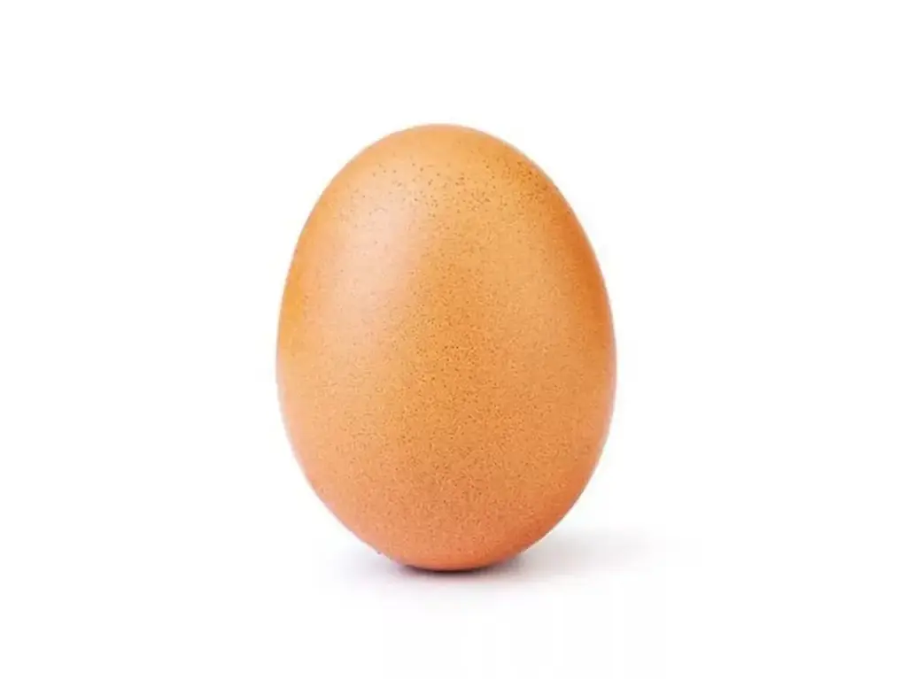 Oeuf