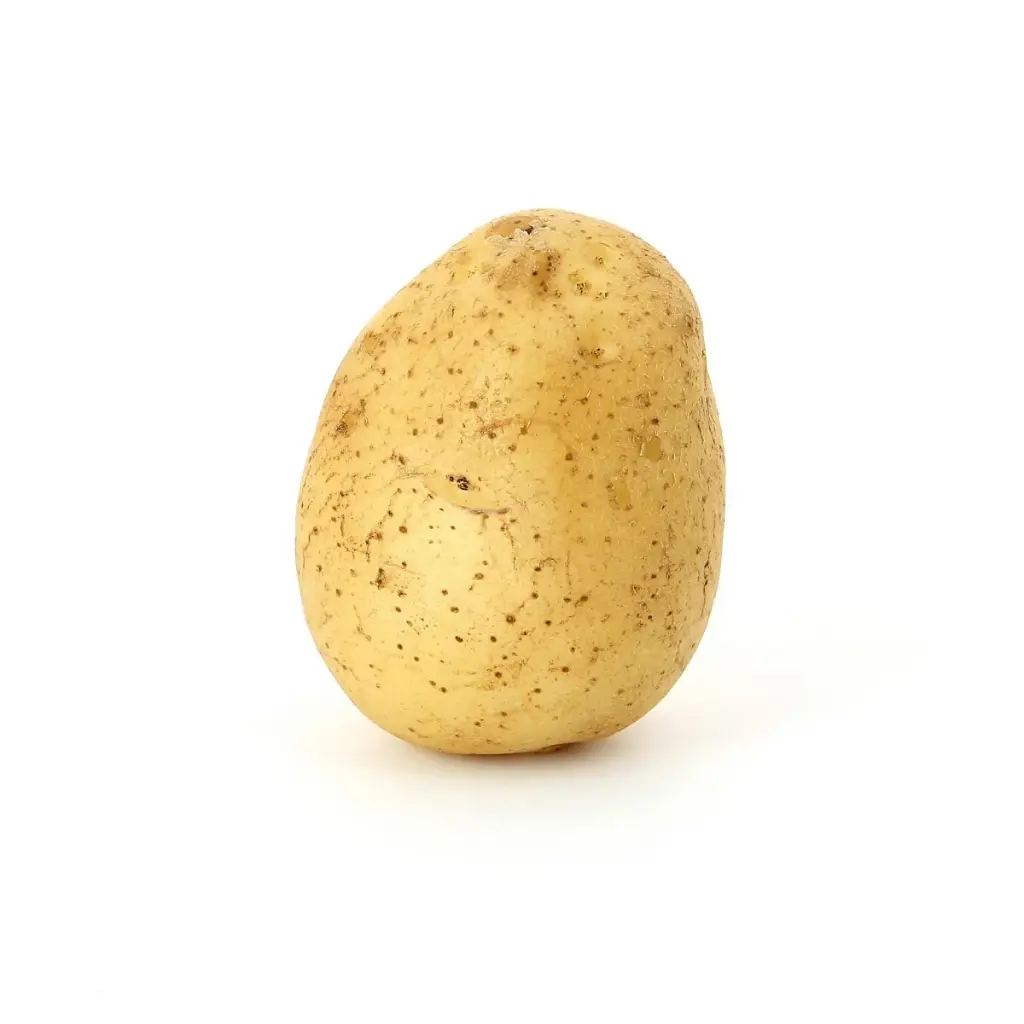 Pomme de Terre