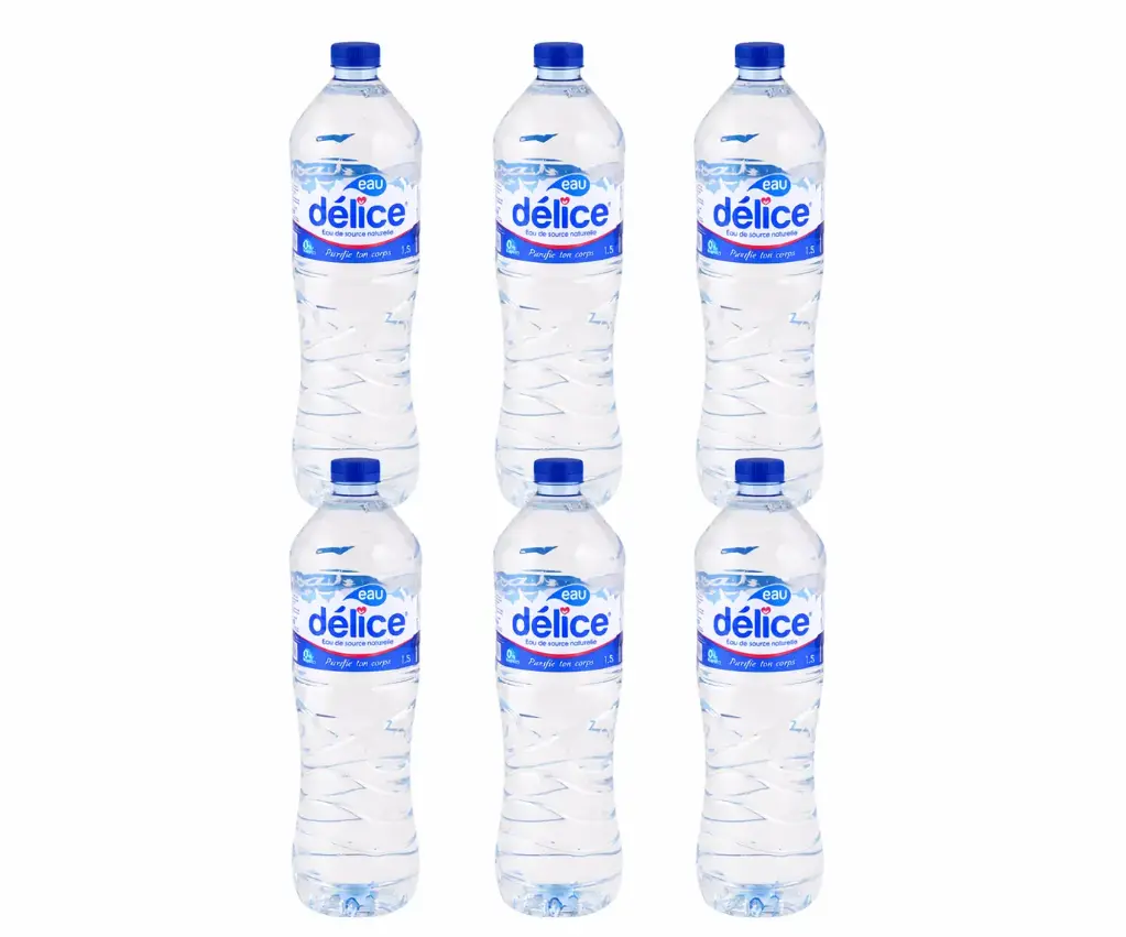 Eau Minérale Delice 1L