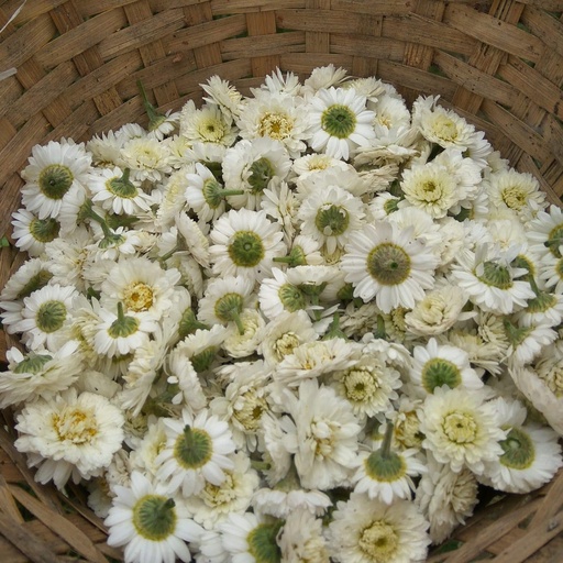 Camomille Nature 15 g