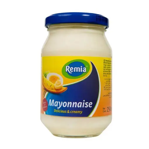 Mayonnaise Remia 250ml