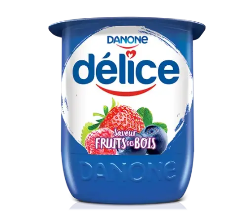 Yaourt Fruits des Bois Délice 110g