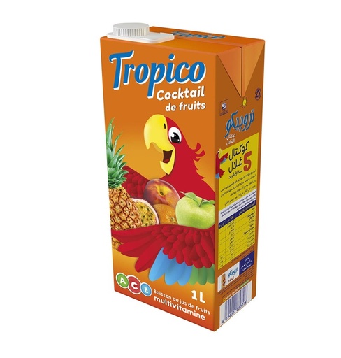 Cocktail de Fruits Tropico 1L