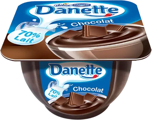Danette Chocolat Délice 100g 
