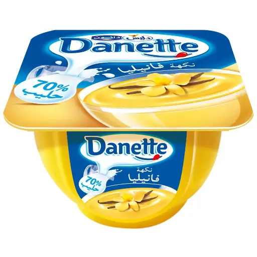 Danette Vanille Délice 100g 